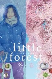 Little Forest: Winter Spring (2015)