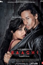 Baaghi (2016)