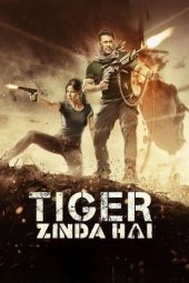 Tiger Zinda Hai (2017)