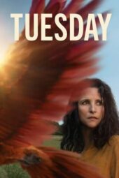 Tuesday (2023)