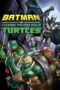 Batman vs Teenage Mutant Ninja Turtles (2019)